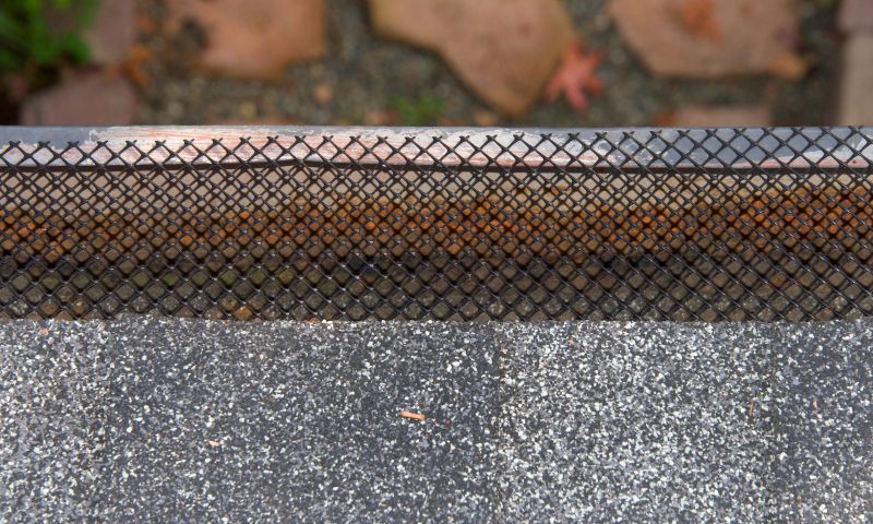 Close-up of Gutter Guard Mesh